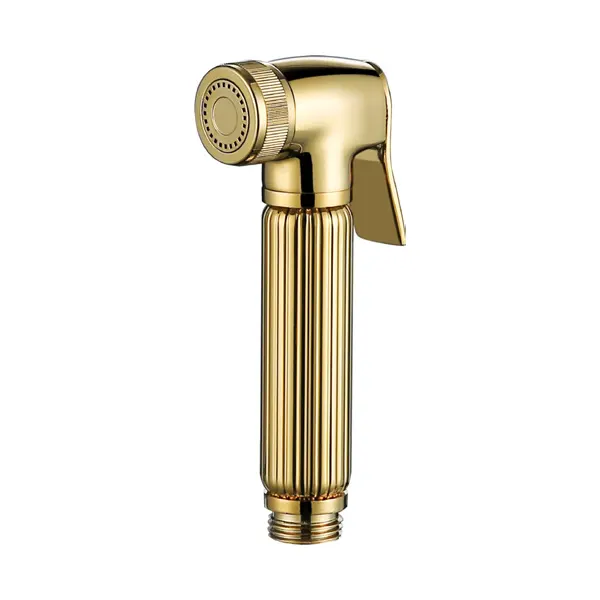 Bakit ang bawat modernong banyo ay nangangailangan ng isang bidet sprayer